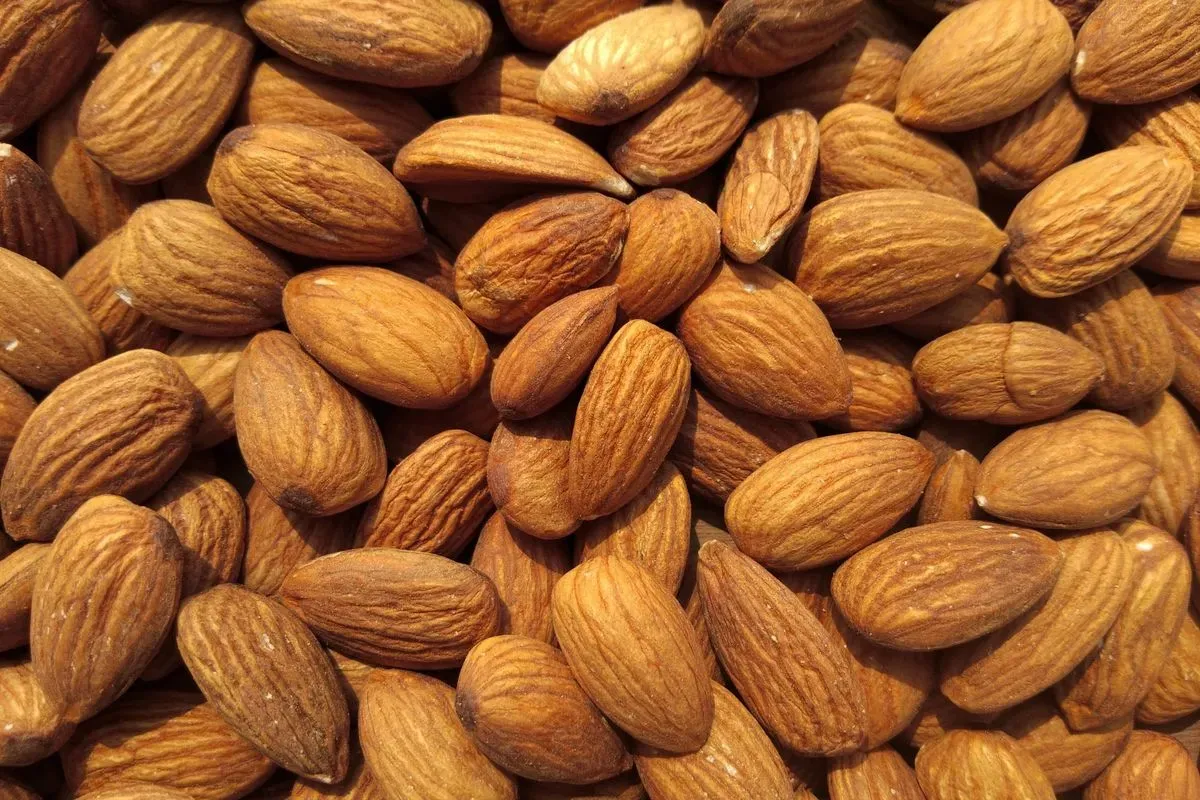 Kacang