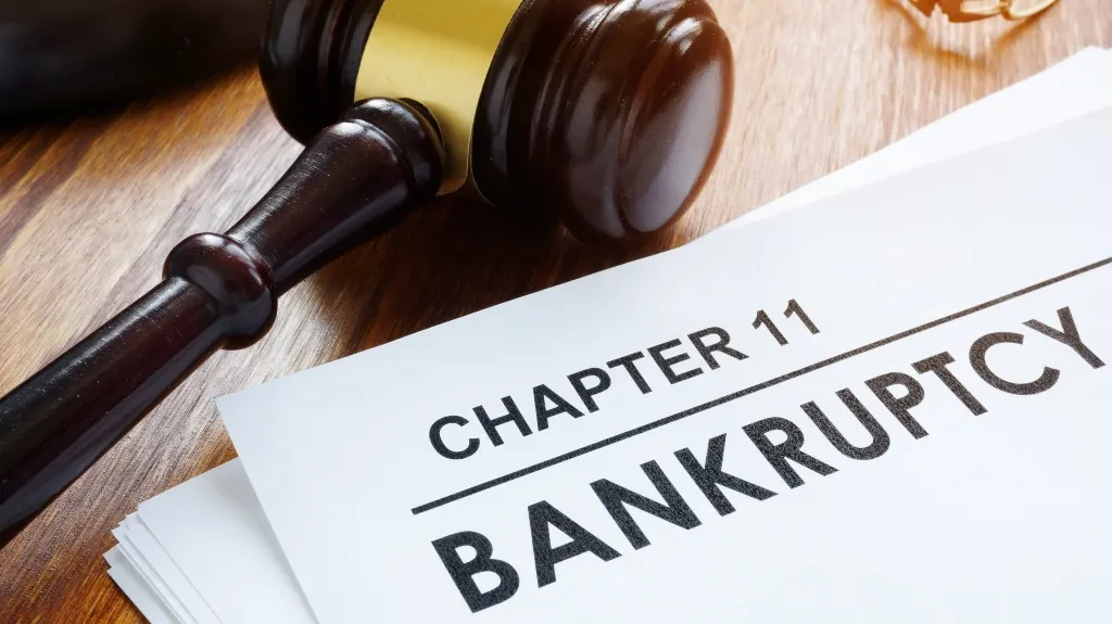 Chapter 11 Bankruptcy