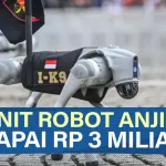 Robot Anjing
