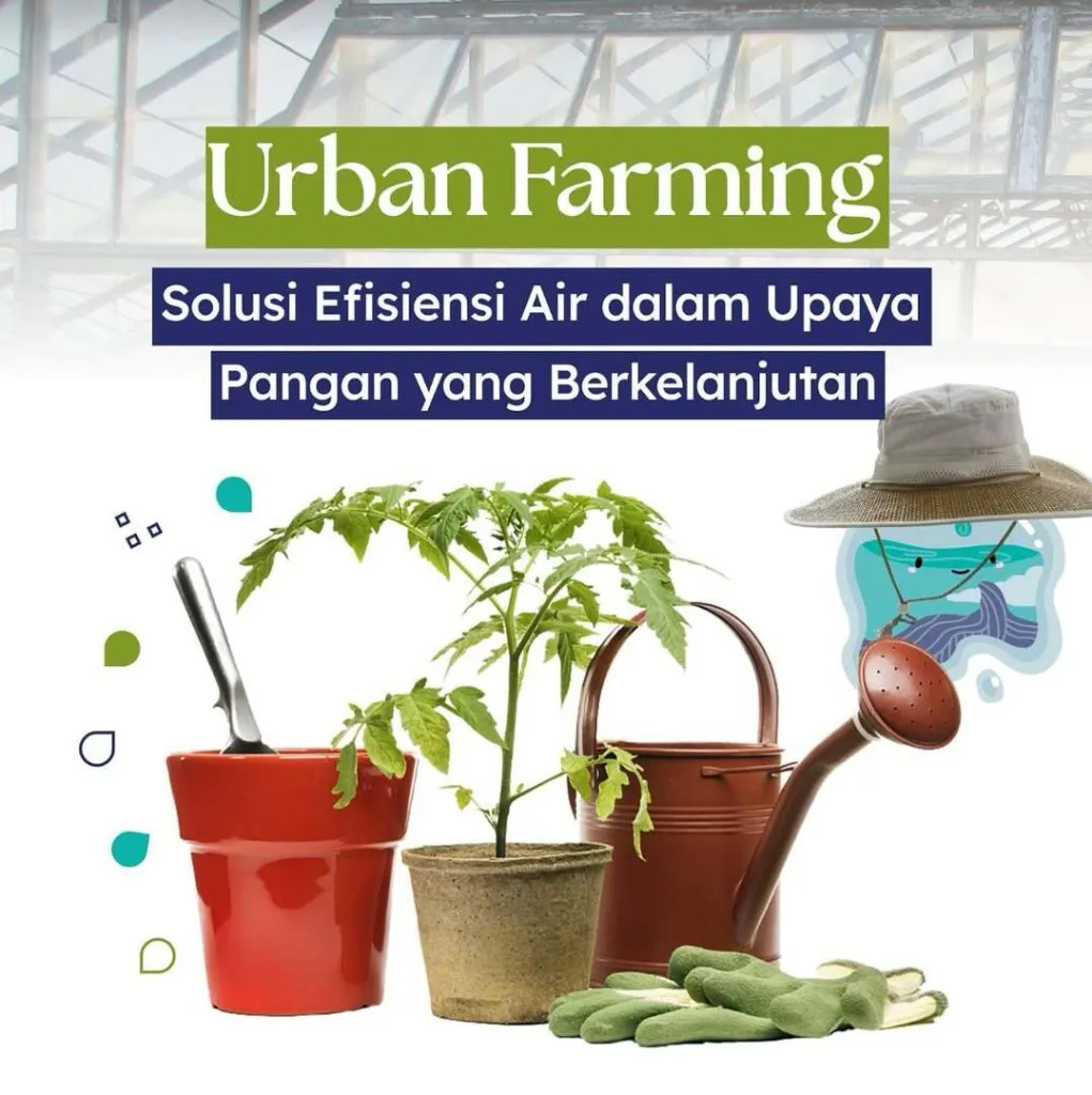 Urban farming