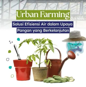 Urban farming