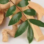 Bahaya Konsumsi Pasak Bumi (Tongkat Ali) Jangka Panjang