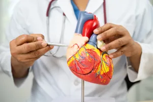 Biaya Pasang Ring Jantung (Stent) di Indonesia