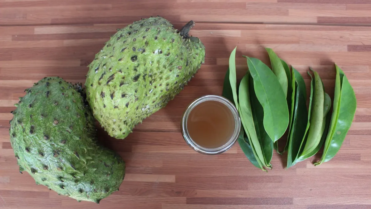 Efek Samping Minum Rebusan Daun Sirsak Setiap Hari