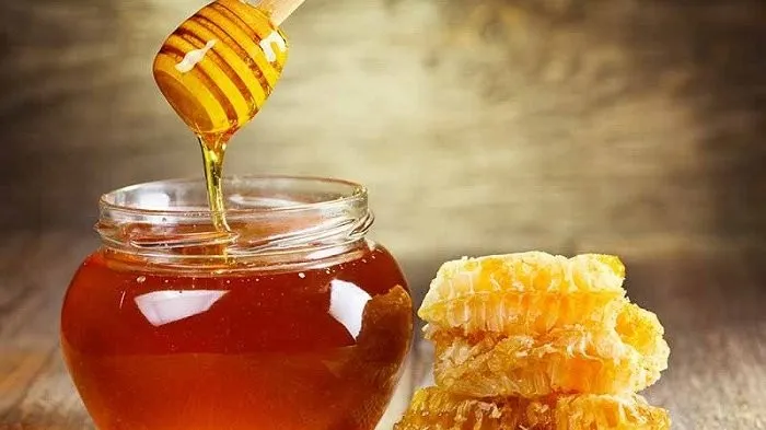 Menguji Kebenaran Madu Sebagai Anti Bakteri