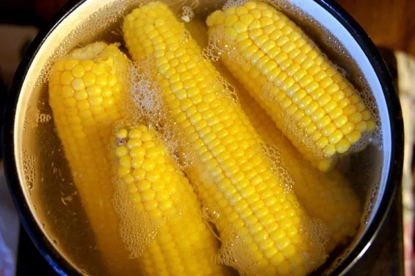 Mitos atau Fakta Minum Air Rebusan Jagung untuk Batu Ginjal