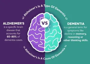 Perbedaan Demensia Alzheimer dan Demensia Vaskular