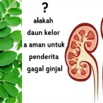 apakah daun kelor aman untuk penderita gagal ginjal