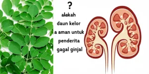 apakah daun kelor aman untuk penderita gagal ginjal