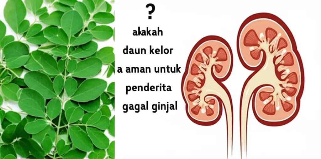 apakah daun kelor aman untuk penderita gagal ginjal
