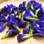 cara mengeringkan bunga telang untuk teh herbal