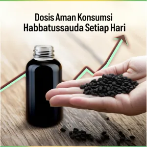Dosis Aman Konsumsi Habbatussauda Setiap Hari