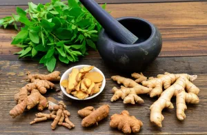 resep jamu pahitan untuk gatal-gatal kulit